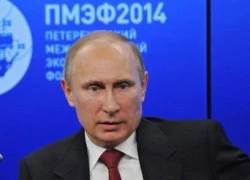 Ukraine: Ông Putin "tôn trọng" bầu cử, cảnh báo "nội chiến"