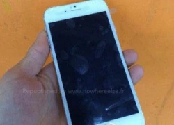 Video trên tay iPhone 6 với màn hình 4.7 inch