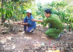 Ám ảnh kinh hoàng người phụ nữ chết thảm vì bị đàn chó dữ xé xác trên rẫy cà phê