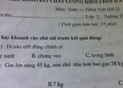 Ba đề Toán lớp 2 khiến người lớn đầu hàng