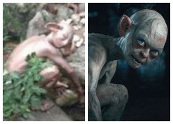 Bắt gặp sinh vật lạ tai to giống quái vật Gollum