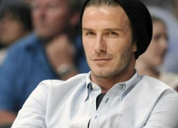 Beckham sắp tái xuất giang hồ