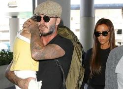 Becks ra sức bảo vệ con gái cưng