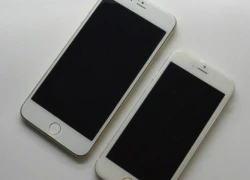 Bộ đôi iPhone 6 màn hình 5,5 và 4,7 inch lộ thêm ảnh