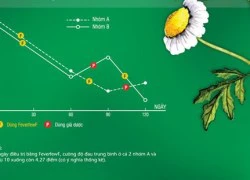 Chữa đau nửa đầu theo cách của Châu Âu