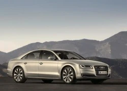 Có gì trong xe Audi A8 2014 giá 4,8 tỷ đồng vừa ra mắt tại VN