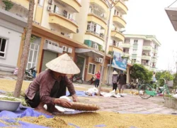 Đốt tiền tỷ chơi sang, dân đổi mạng sống qua suối