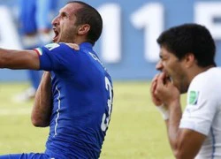 FIFA điều tra vụ Luis Suarez cắn Giorgio Chiellini