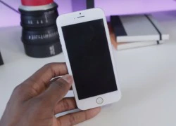 Foxconn xác nhận đang sản xuất iPhone 6 màn 4.7 và 5.5 inch