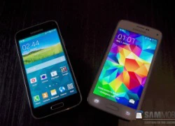 Galaxy S5 Mini lộ ảnh thực tế có nhận diện vân tay