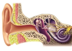 Hiểu rõ về bệnh rối loạn tiền đình