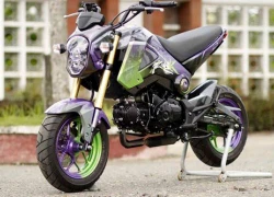 Honda MSX 125 màu lạ tại Sài Gòn