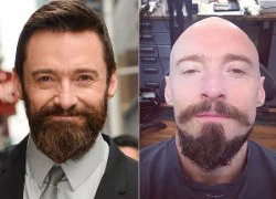 Hugh Jackman cạo đầu trọc lóc