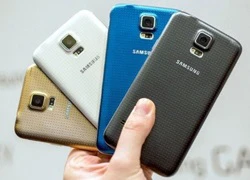 iPhone 6 làm giảm 25% đơn hàng Galaxy S5 trong quý 3