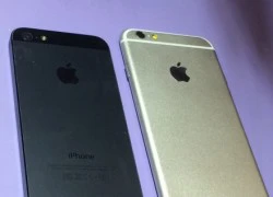 iPhone 6 màn hình to lộ bản hoàn chỉnh