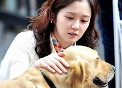 Jang Nara mê cún cưng, lơ "người yêu định mệnh"