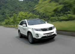 KIA New Sorento "Yêu" từ lần đầu gặp gỡ