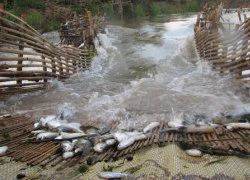 Lào nhượng bộ, đưa đập thứ hai trên sông Mekong ra tham vấn