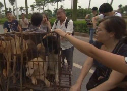 Lễ hội thịt chó gây tranh cãi ở Trung Quốc