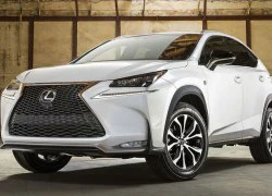 Lexus trở lại đường đua xe sang