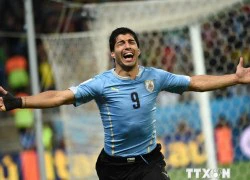 Liên đoàn bóng đá Uruguay sẽ kháng án cho Luis Suarez