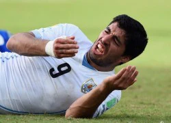 Liên minh các cầu thủ quốc tế chất vấn FIFA về vụ Luis Suarez