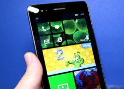 Lộ diện phablet Windows Phone màn hình 6.45 inch