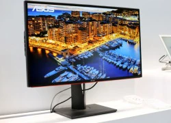 Màn hình Monitor 4K siêu nét của Asus