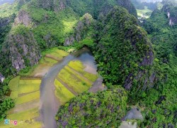 Mùa 'vàng' đẹp như tranh ở Tam Cốc