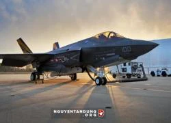 Mỹ tạm đình bay &#8220;siêu chiến đấu cơ&#8221; F-35