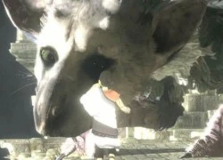 The Last Guardian sẽ không bị hủy bỏ trong im lặng