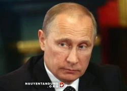 Putin: Hãy chứng minh lính Nga có mặt ở Ukraine