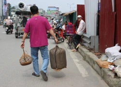 Ra phố "săn" chim ở Hà thành