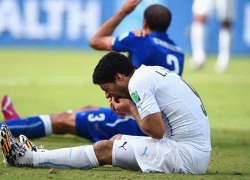 Suarez chết dở vì lỡ cắn Chiellini