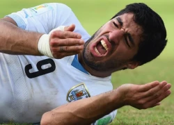 Suarez đối diện án phạt treo giò đến hết World Cup