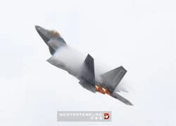 "Thú ăn thịt" F-22 sẽ "giao chiến" với Su-30MKM tại Malaysia