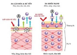 Trắng da an toàn với bộ ba dược phẩm