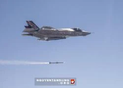 Vì sao Mỹ cho tiêm kích F-35 dừng bay?