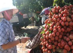 Xác minh thông tin vải Trung Quốc nhập ngược về VN