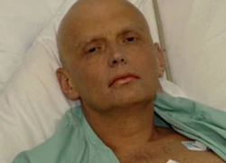 Anh quyết tâm tìm ra thủ phạm vụ đầu độc điệp viên Nga Litvinenko