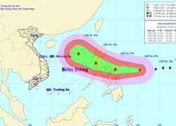 Bão lớn Rammasun quần thảo Biển Đông