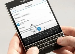 BlackBerry tuyên bố người dùng thèm khát Passport