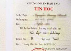 Chủ quán photocopy làm giả chứng chỉ tin học