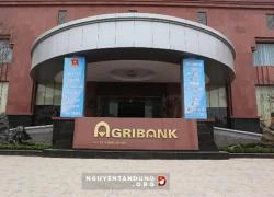 Dính bê bối, CEO ngân hàng Agribank lần lượt bị bắt