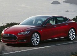 Doanh nhân Trung Quốc "chày cối" kiện Tesla