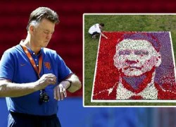 Ghép 25.000 bông tu-líp để chào đón van Gaal