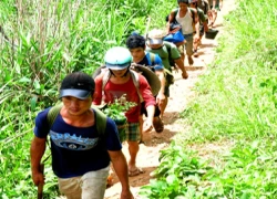 Hầm sập chết người, hàng trăm phu vàng tháo chạy khỏi rừng