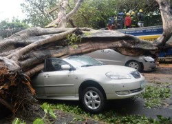 Hong Kong cảnh báo dân chúng về 'siêu bão' Rammasun