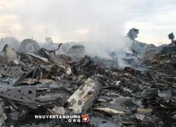 Interpol sẵn sàng giúp xác minh nạn nhân vụ máy bay MH17 bị bắn hạ tại Ukraine