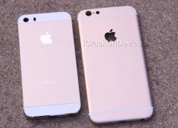 Khung nhôm iPhone 6 phiên bản vàng lộ diện